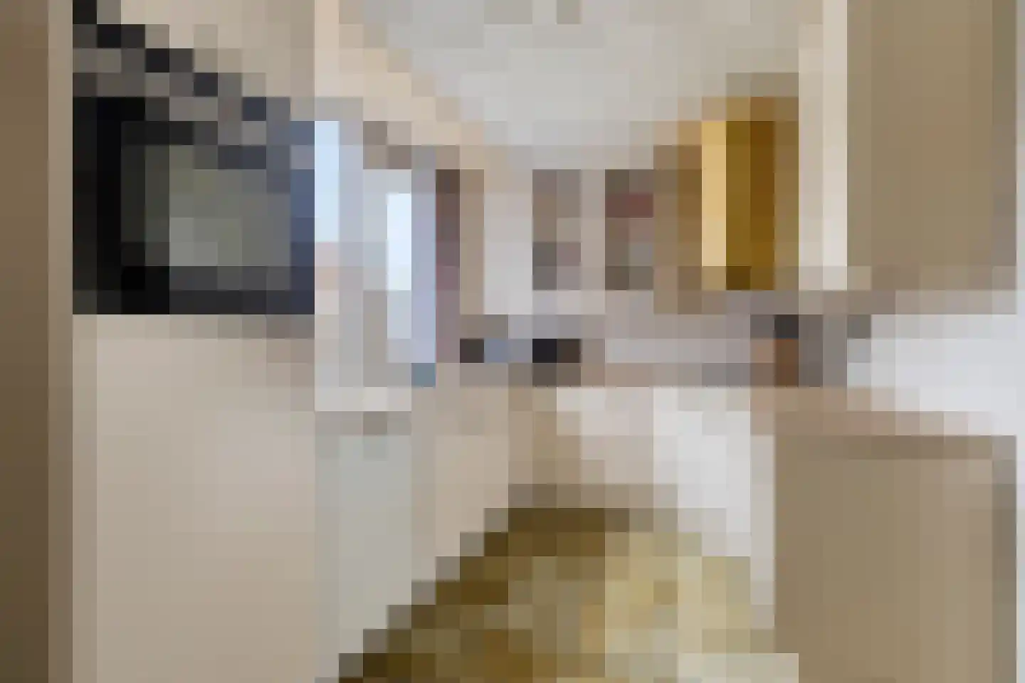Valeriusstraat 1 Drunen thumbnail 13