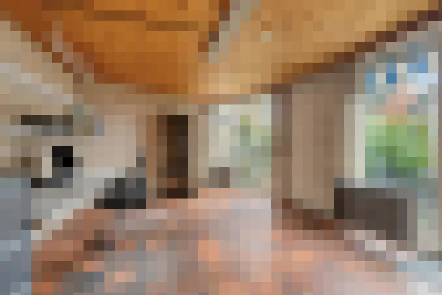 Valeriusstraat 1 Drunen thumbnail 14