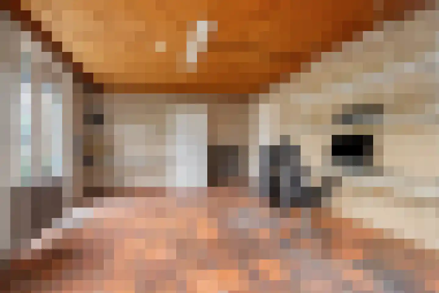 Valeriusstraat 1 Drunen thumbnail 15