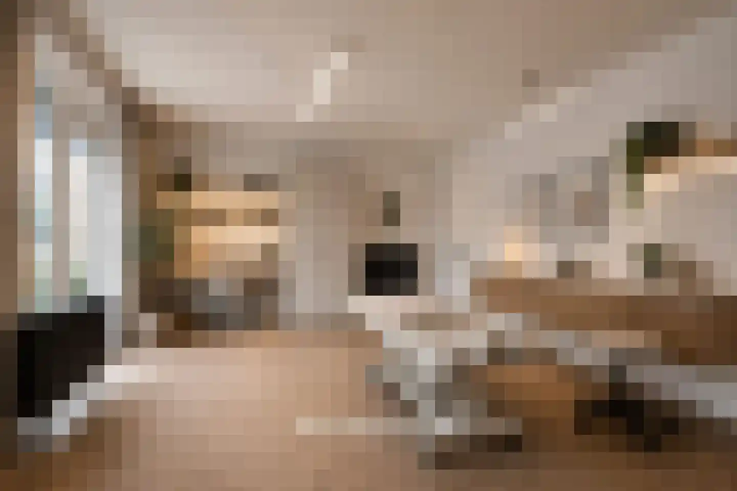 Valeriusstraat 1 Drunen thumbnail 17