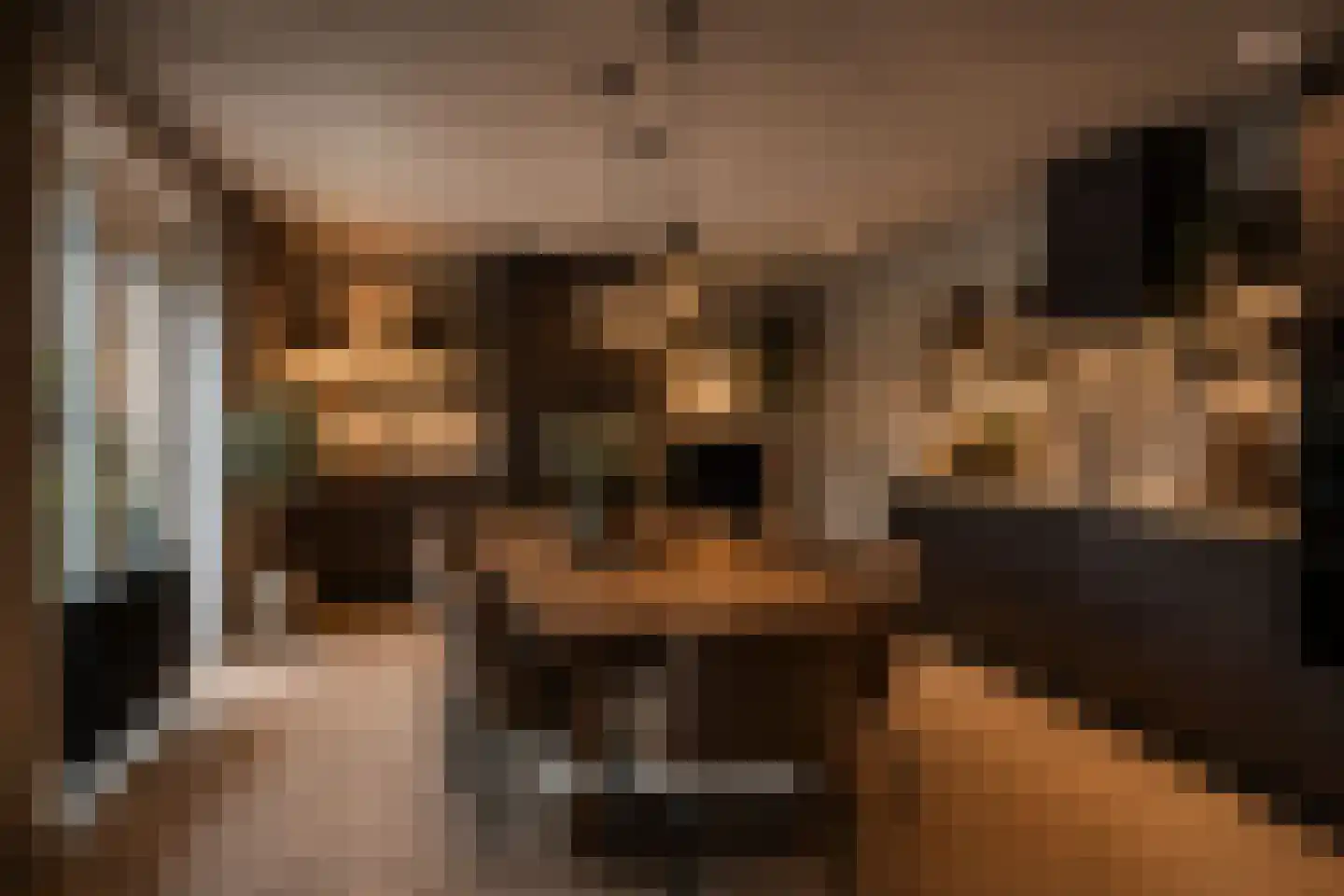 Valeriusstraat 1 Drunen thumbnail 18