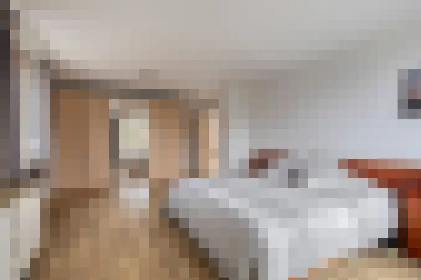 Valeriusstraat 1 Drunen thumbnail 22