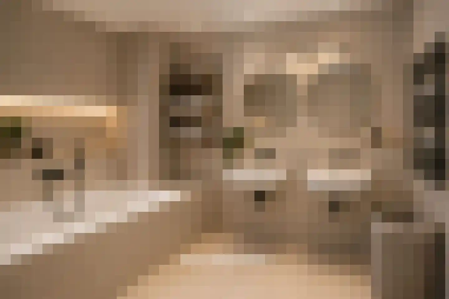 Valeriusstraat 1 Drunen thumbnail 29