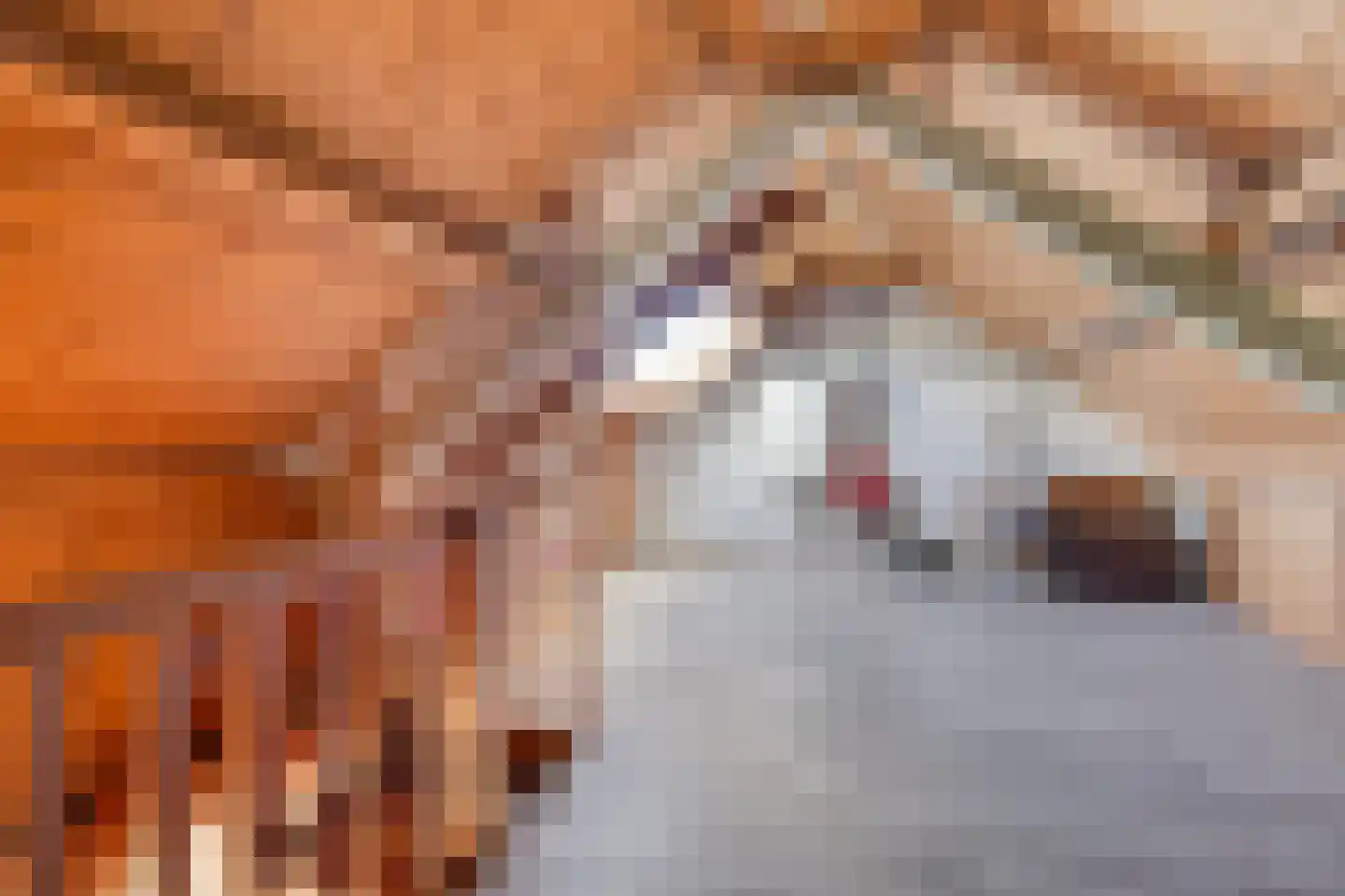 Valeriusstraat 1 Drunen thumbnail 30