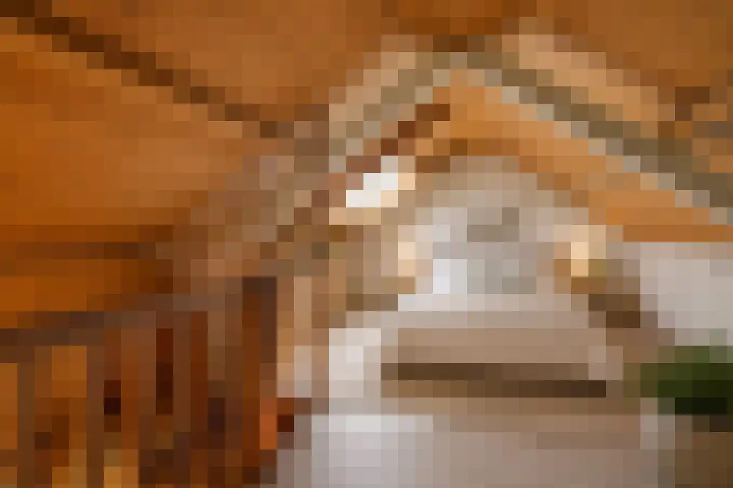 Valeriusstraat 1 Drunen thumbnail 31
