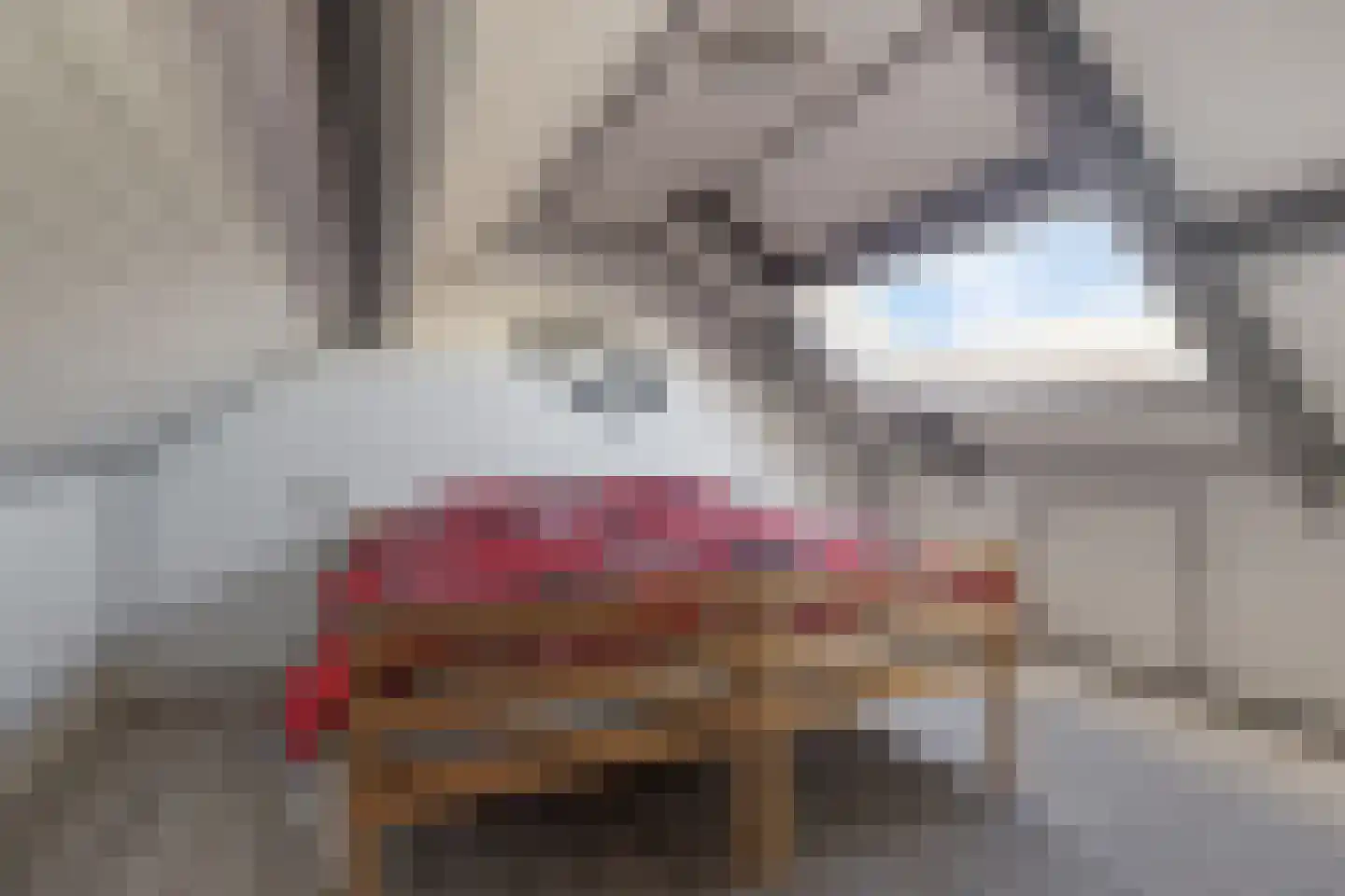 Valeriusstraat 1 Drunen thumbnail 33
