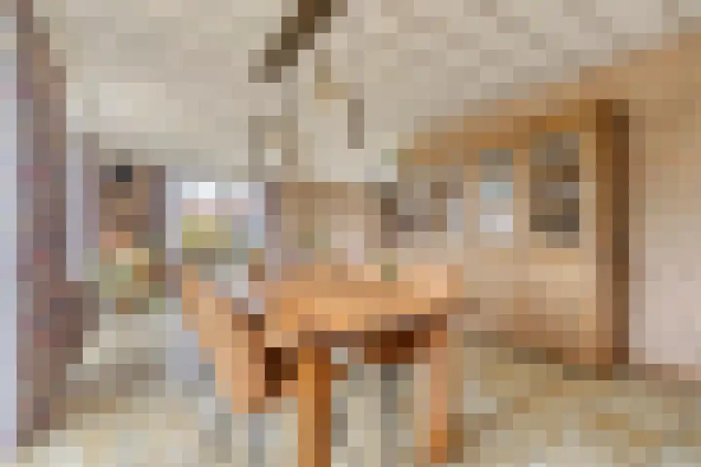 Valeriusstraat 1 Drunen thumbnail 4