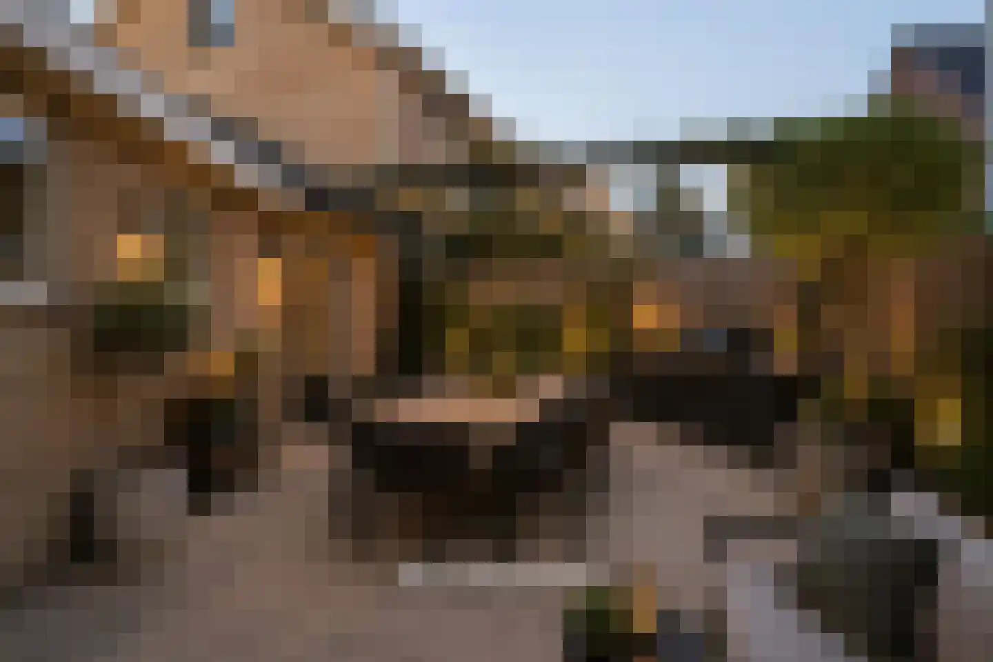 Valeriusstraat 1 Drunen thumbnail 41