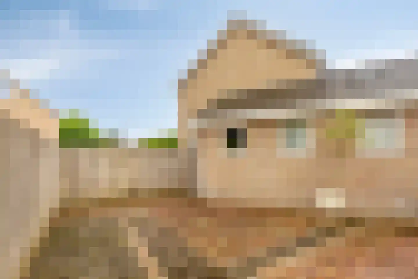 Valeriusstraat 1 Drunen thumbnail 43