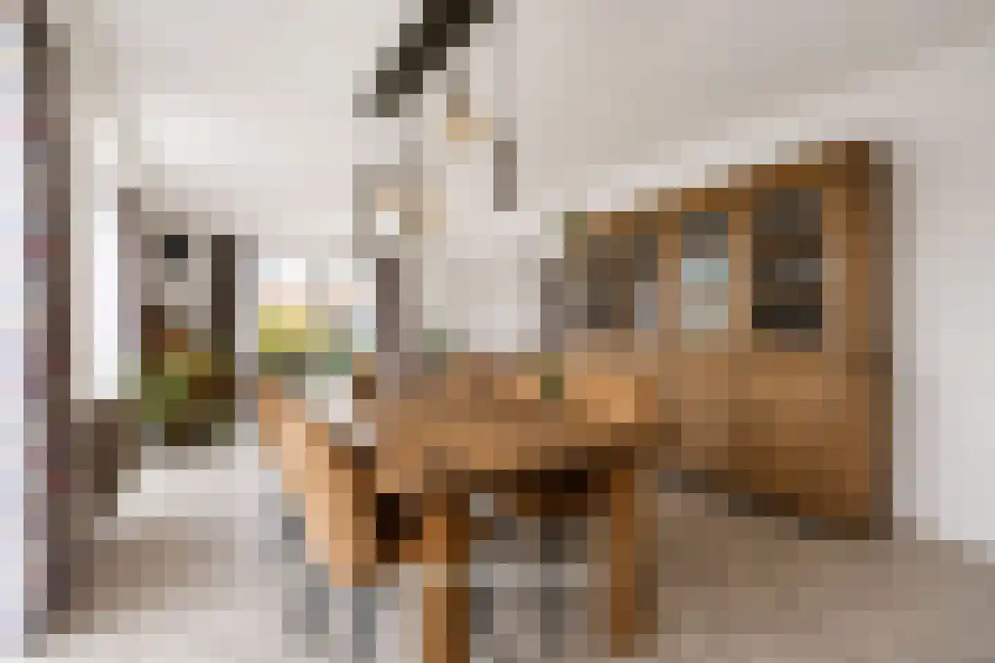 Valeriusstraat 1 Drunen thumbnail 5