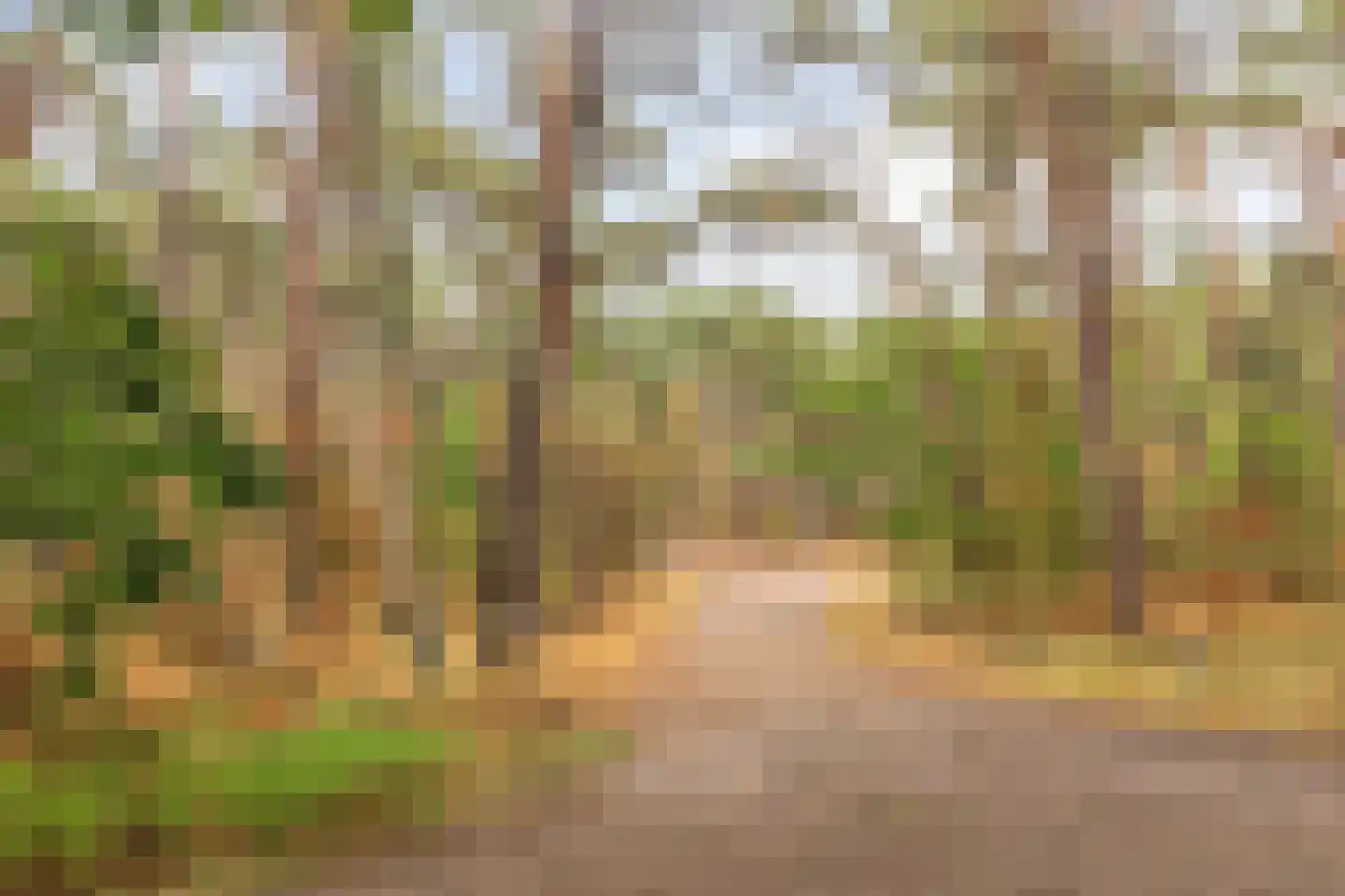 Valeriusstraat 1 Drunen thumbnail 52