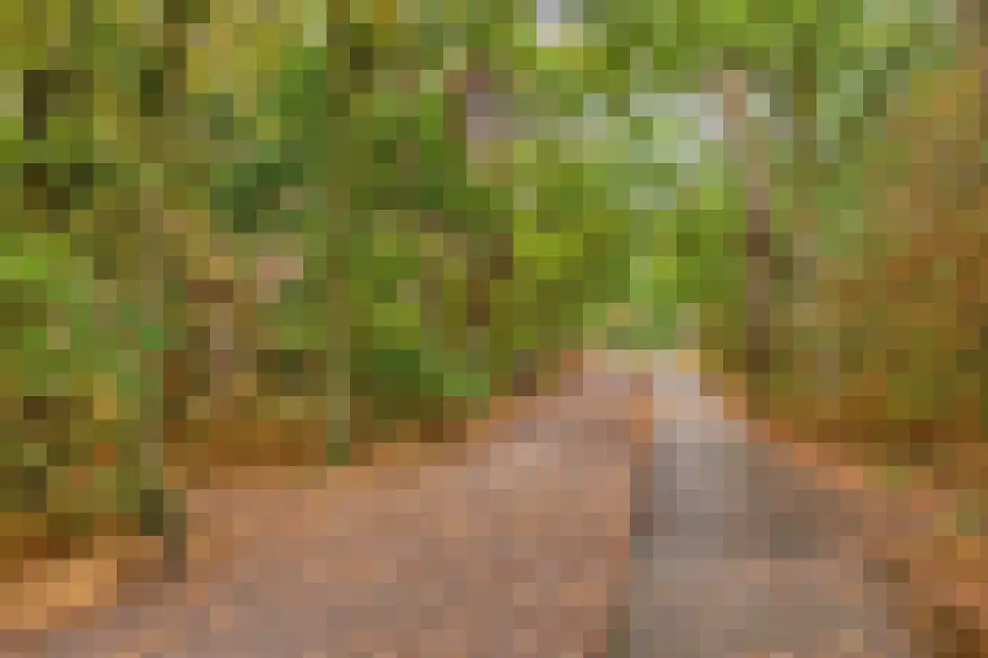 Valeriusstraat 1 Drunen thumbnail 53
