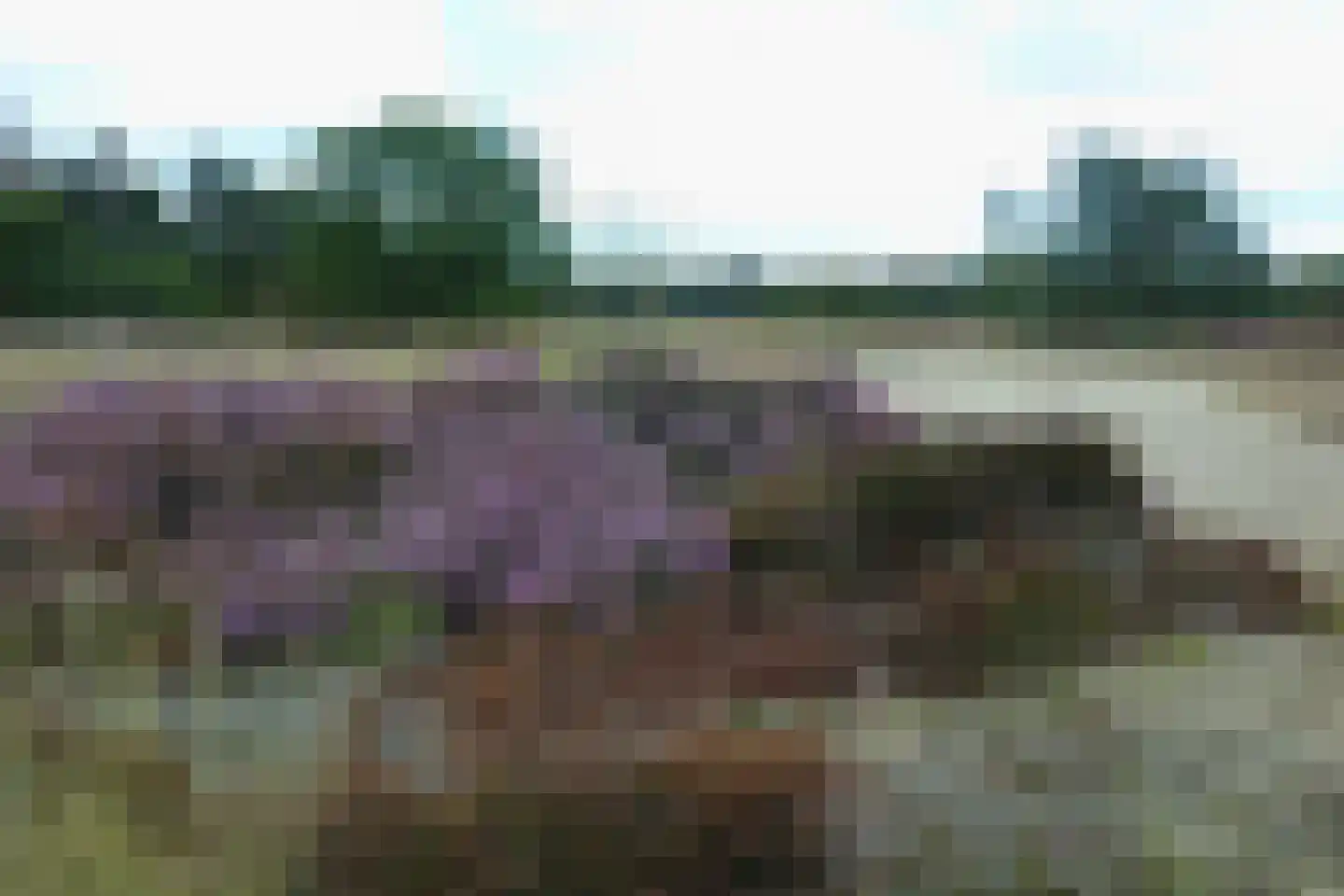 Valeriusstraat 1 Drunen thumbnail 55