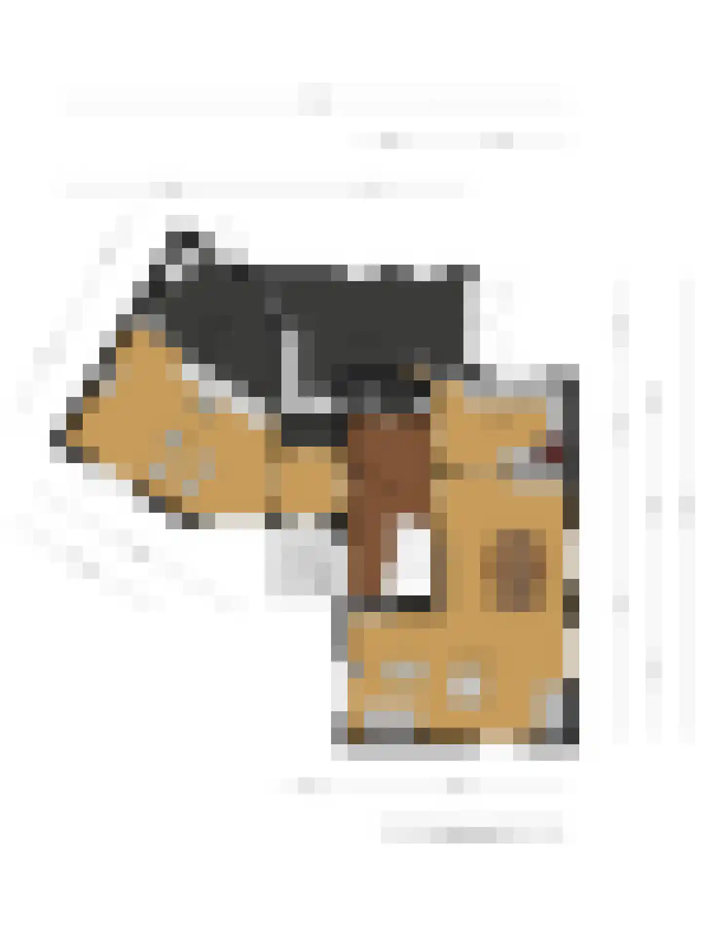 Valeriusstraat 1 Drunen thumbnail 60