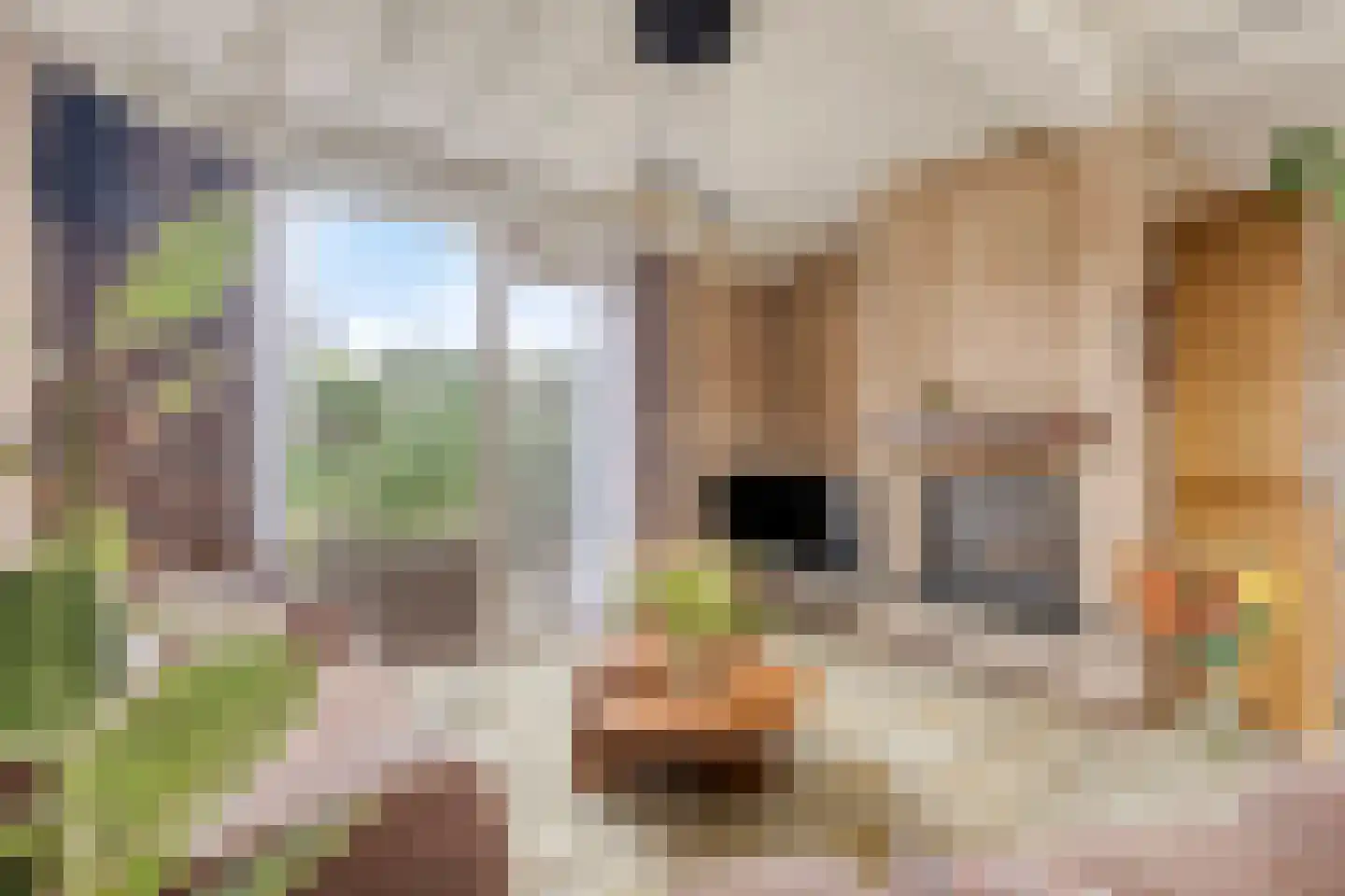 Valeriusstraat 1 Drunen thumbnail 7