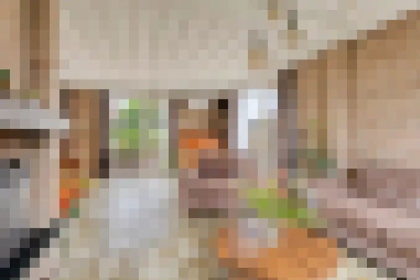 Valeriusstraat 1 Drunen thumbnail 8