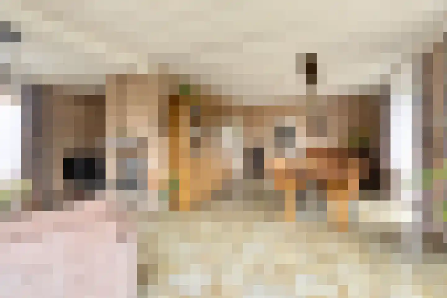 Valeriusstraat 1 Drunen thumbnail 9