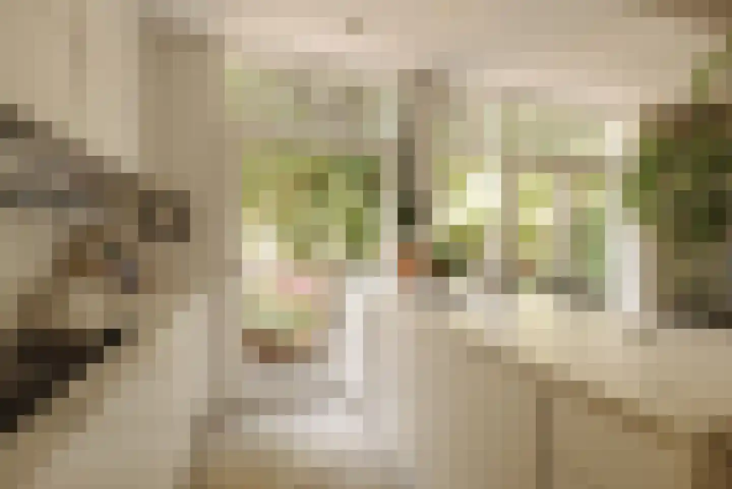 Valeriusstraat 102 H Amsterdam thumbnail 16