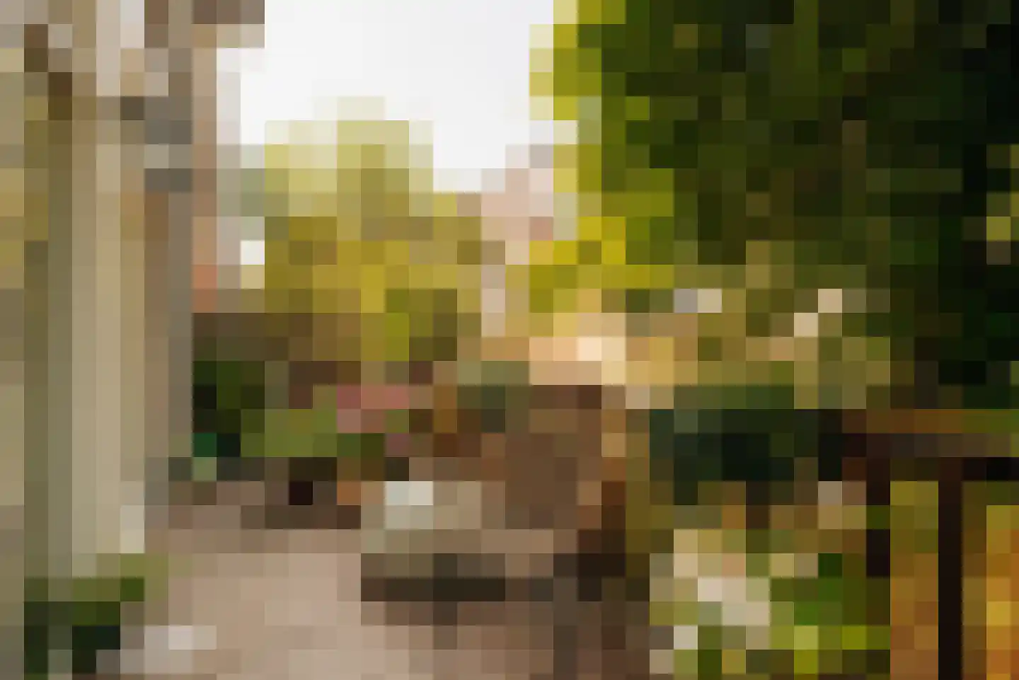Valeriusstraat 102 H Amsterdam thumbnail 22