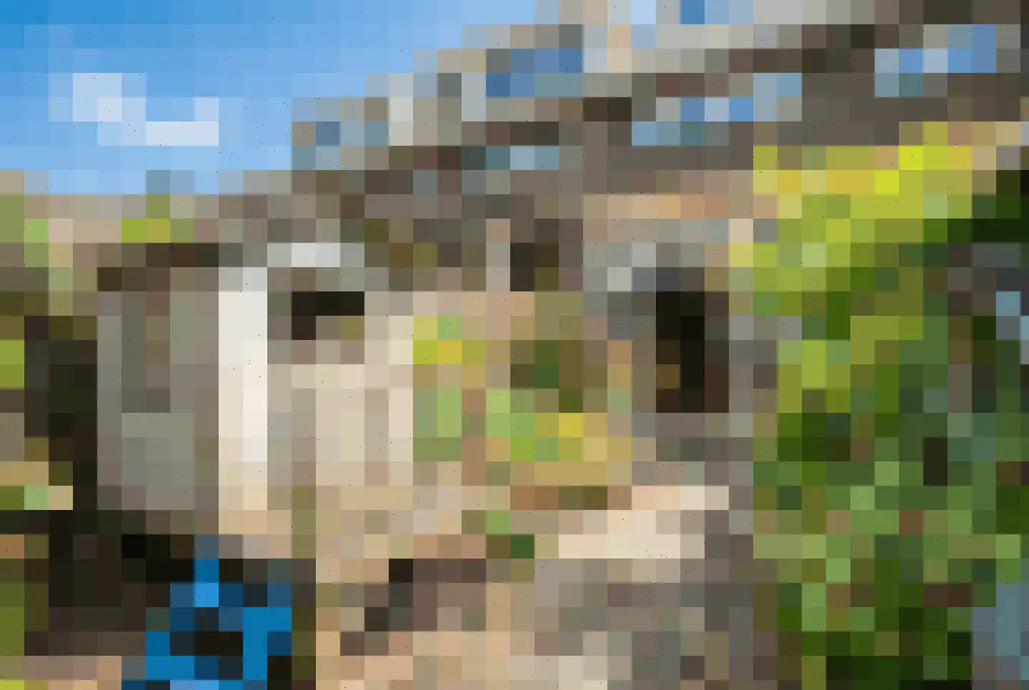 Valeriusstraat 108 Vlaardingen thumbnail 17