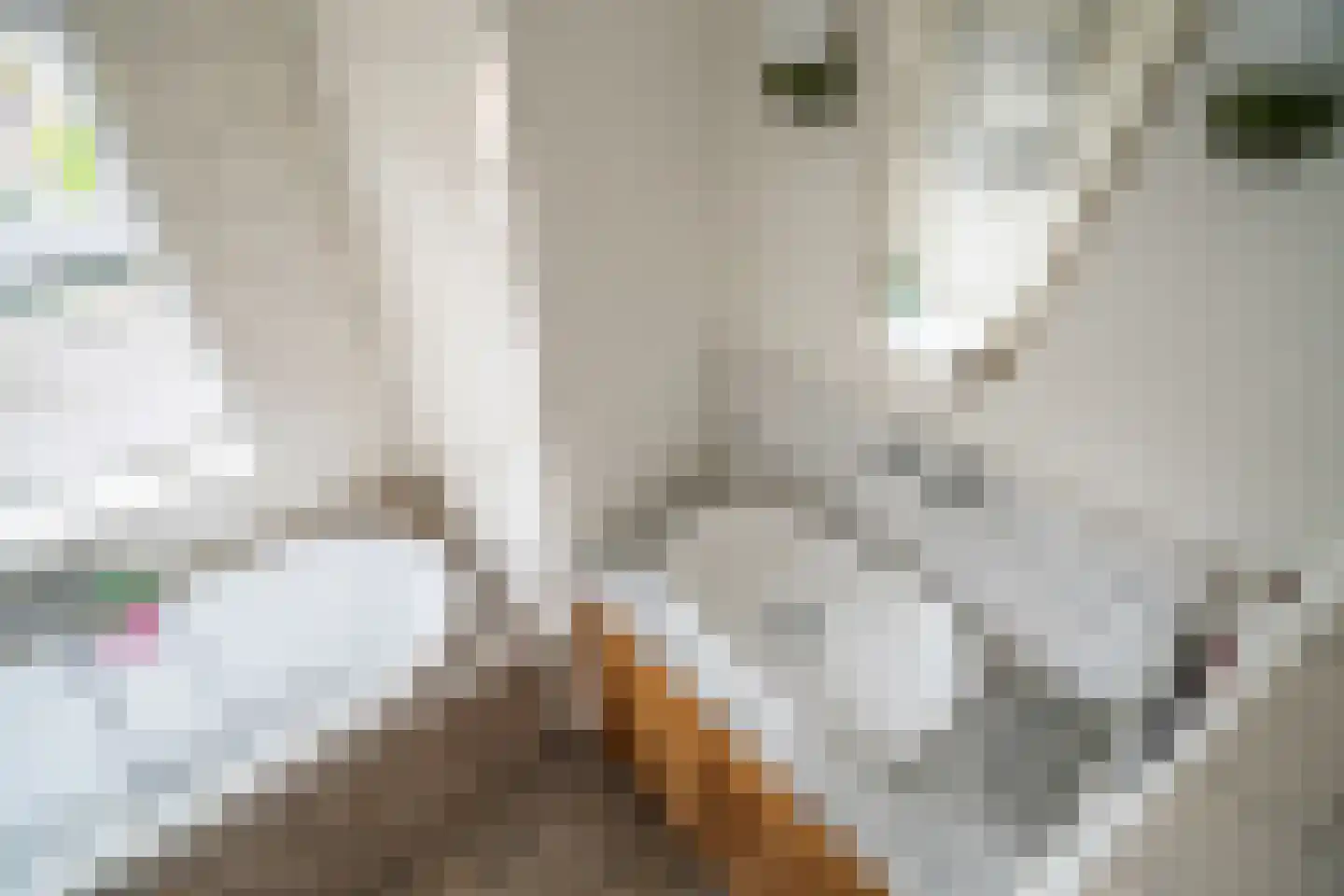 Valeriusstraat 108 Vlaardingen thumbnail 38