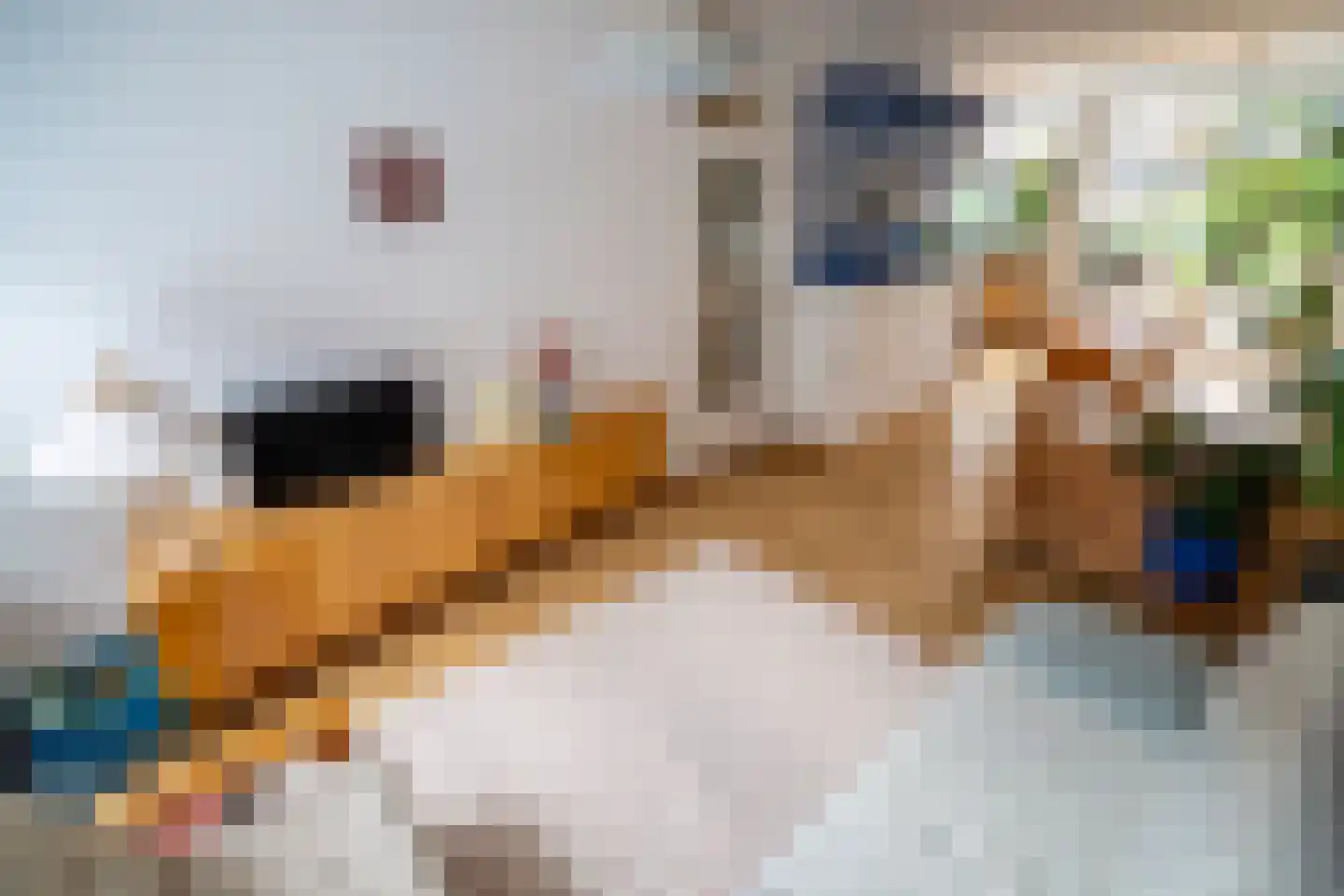 Valeriusstraat 108 Vlaardingen thumbnail 4