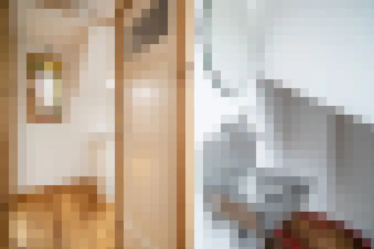 Valeriusstraat 108 Vlaardingen thumbnail 63