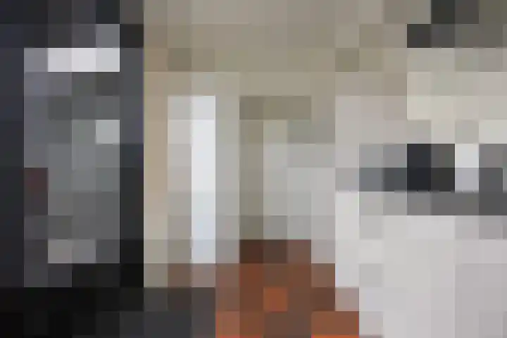 Valeriusstraat 11 Drunen thumbnail 15