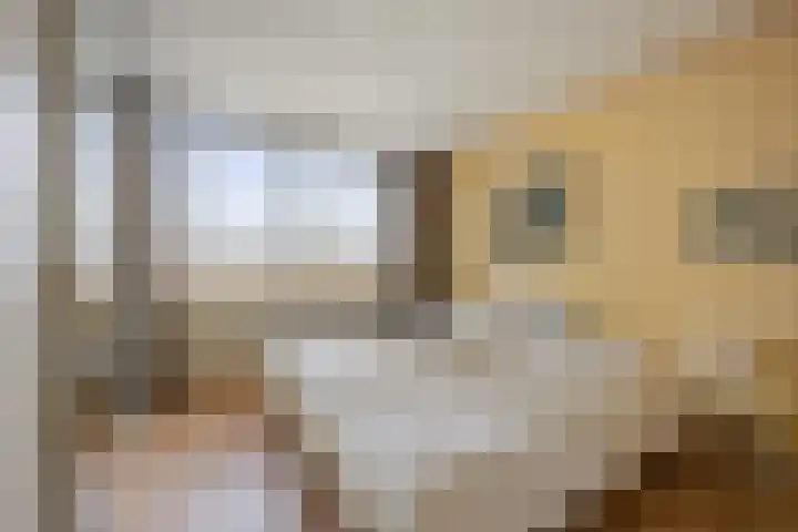 Valeriusstraat 11 Drunen thumbnail 17