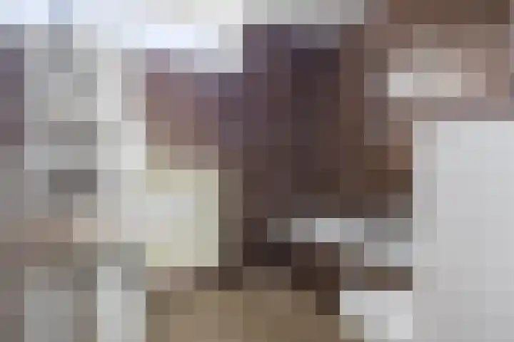 Valeriusstraat 11 Drunen thumbnail 19