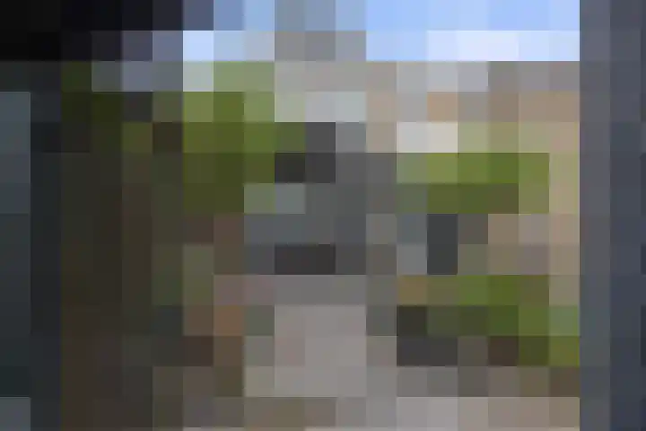 Valeriusstraat 11 Drunen thumbnail 29