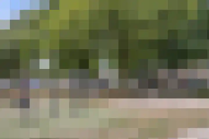 Valeriusstraat 11 Drunen thumbnail 34