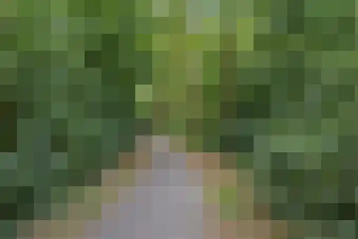 Valeriusstraat 11 Drunen thumbnail 35