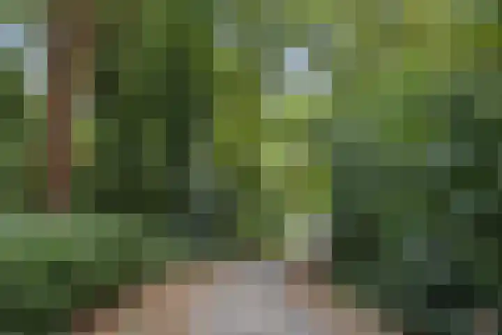 Valeriusstraat 11 Drunen thumbnail 36