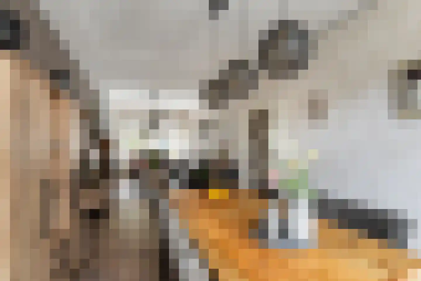 Valeriusstraat 112 Vlaardingen thumbnail 19
