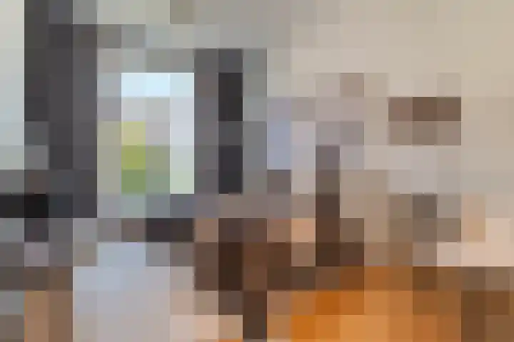 Valeriusstraat 122 2 Amsterdam thumbnail 31