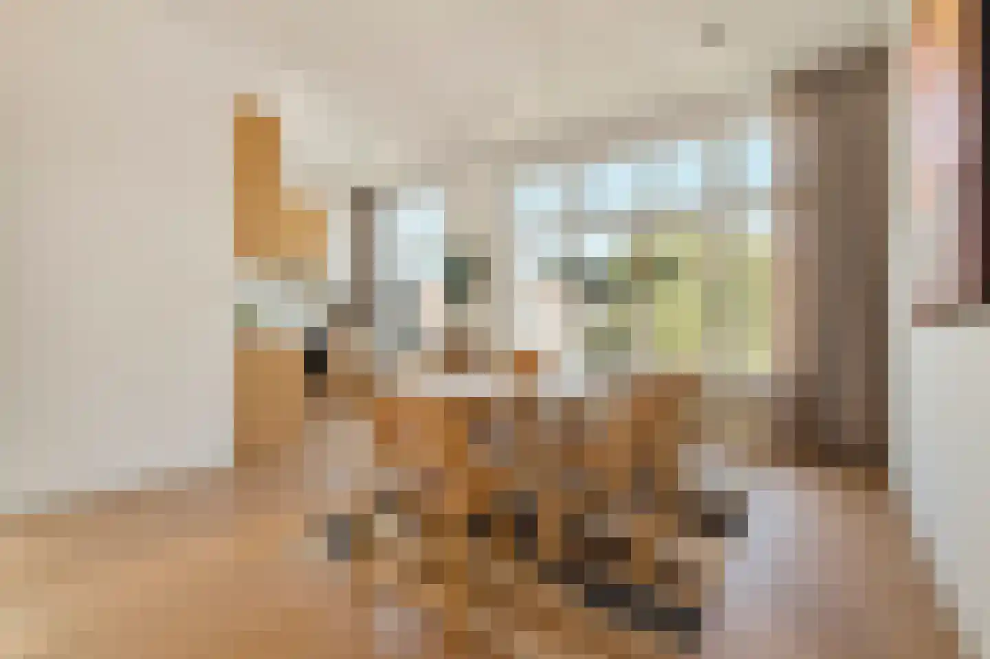 Valeriusstraat 132 2 Amsterdam thumbnail 7