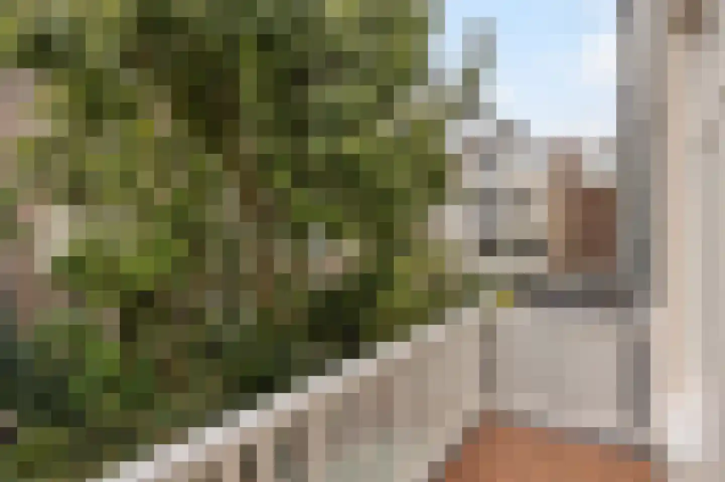 Valeriusstraat 137 H Amsterdam thumbnail 36