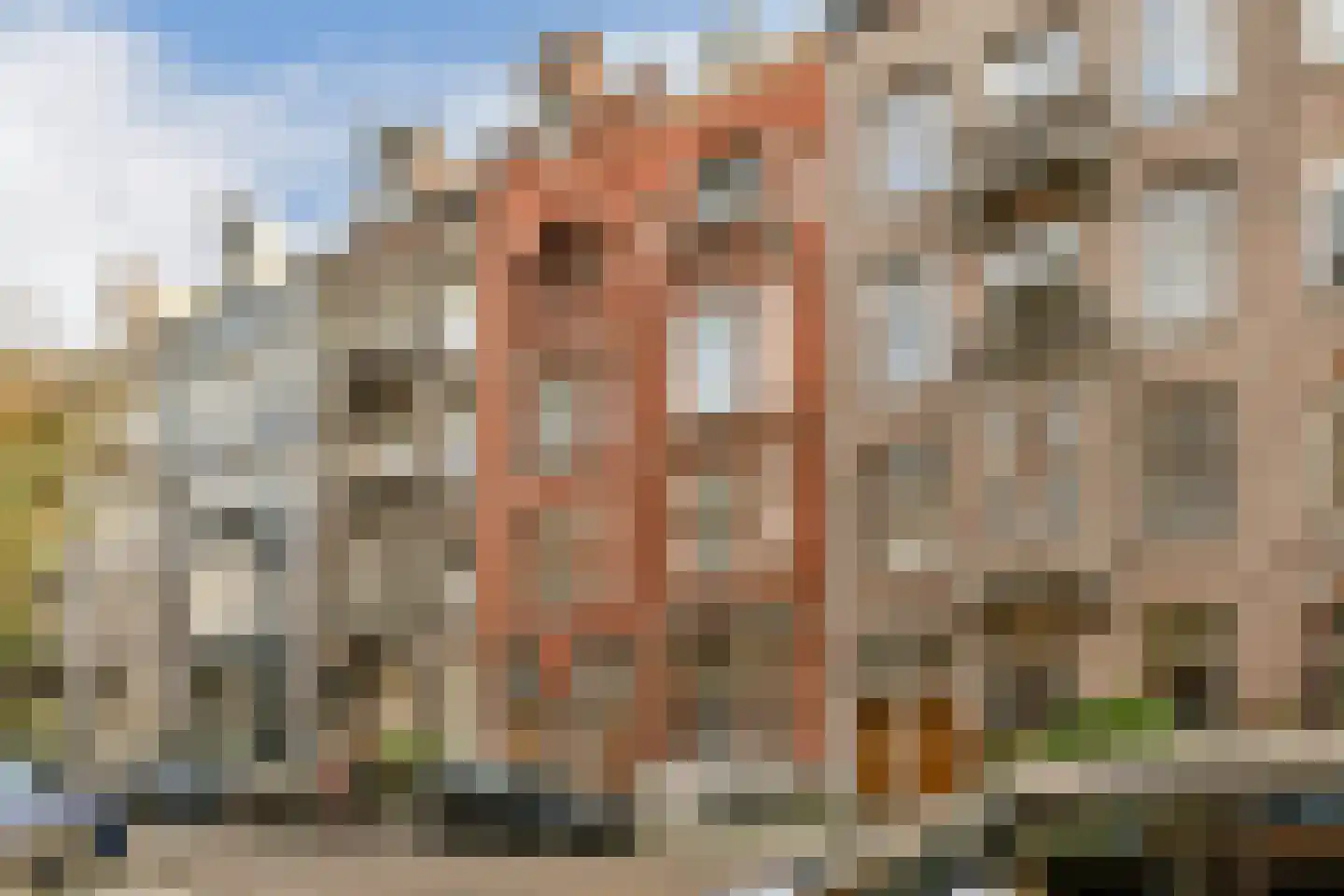 Valeriusstraat 137 H Amsterdam thumbnail 5