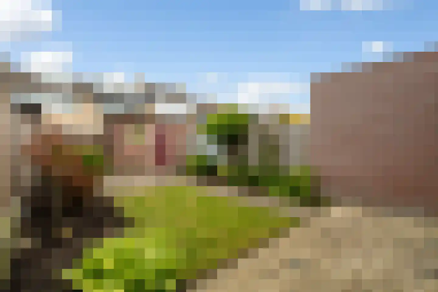 Valeriusstraat 15 Hazerswoude-Rijndijk thumbnail 18