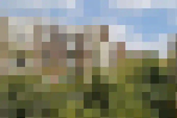 Valeriusstraat 158 2 Amsterdam thumbnail 11