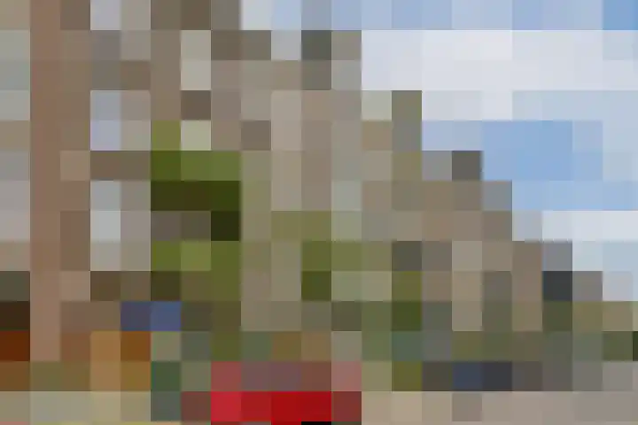 Valeriusstraat 158 2 Amsterdam thumbnail 18