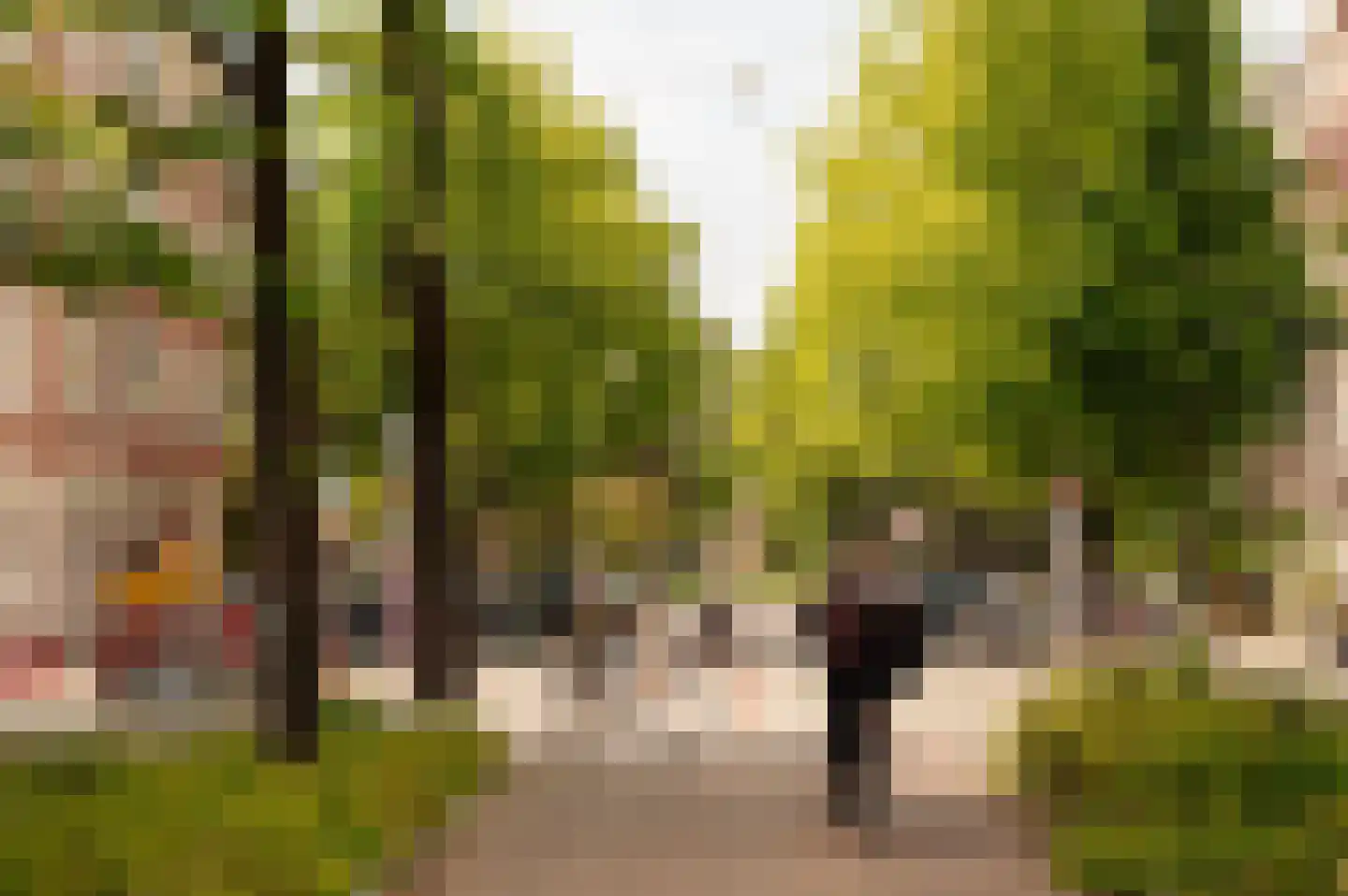 Valeriusstraat 162 2 Amsterdam thumbnail 35