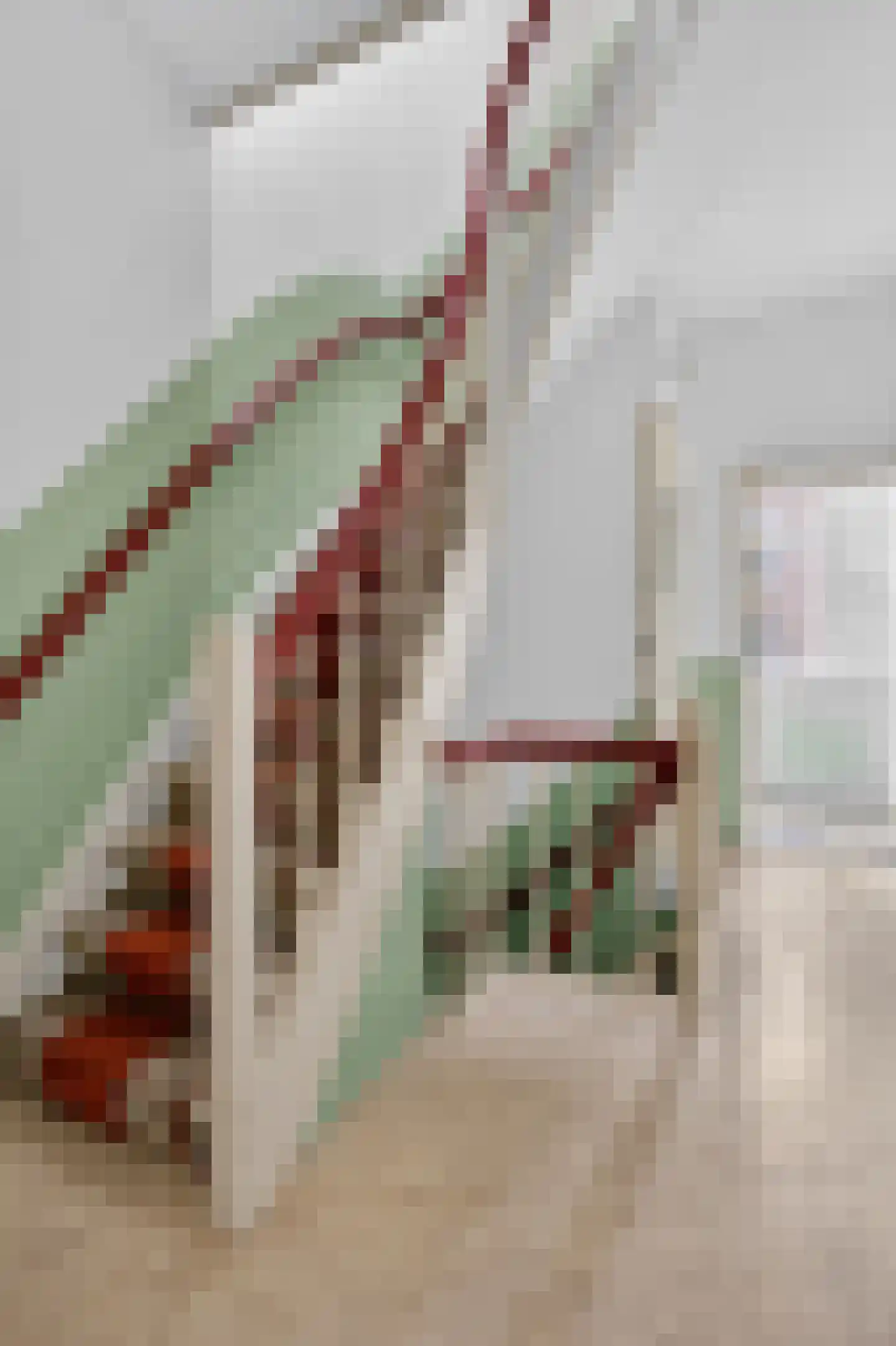 Valeriusstraat 171 2 Amsterdam thumbnail 37