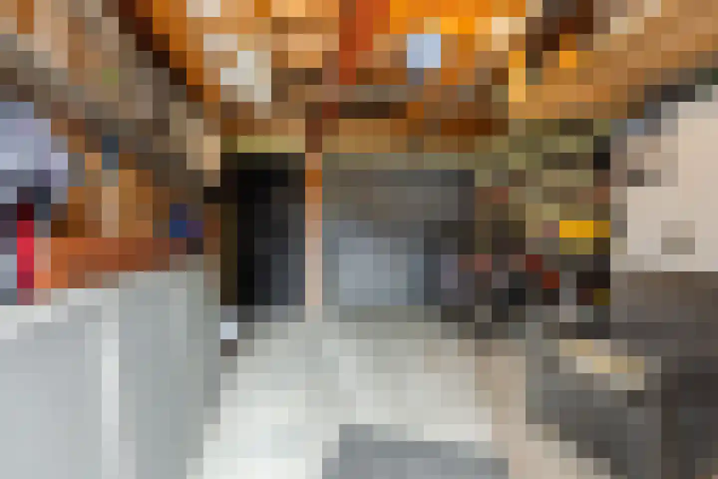 Valeriusstraat 18 Bergen op Zoom thumbnail 39