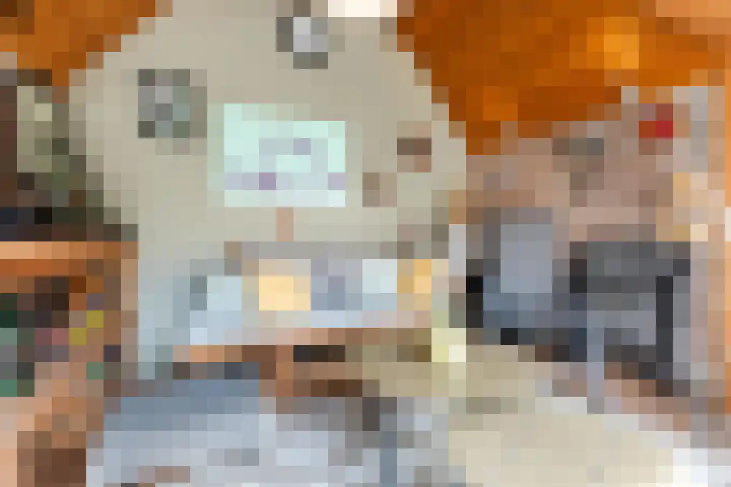 Valeriusstraat 18 Bergen op Zoom thumbnail 41