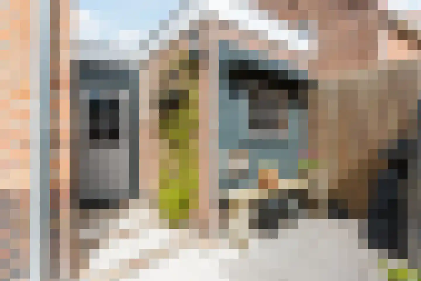Valeriusstraat 18 Bergen op Zoom thumbnail 46