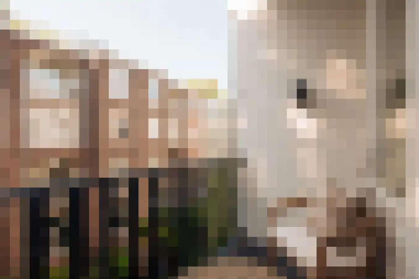 Valeriusstraat 19 B Amsterdam thumbnail 20