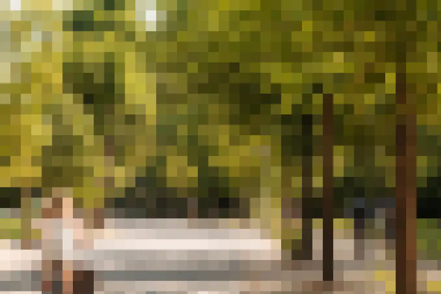 Valeriusstraat 19 B Amsterdam thumbnail 33