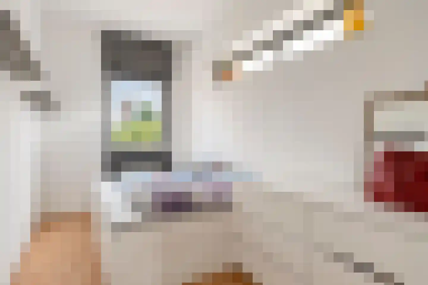 Valeriusstraat 2 Schiedam thumbnail 20